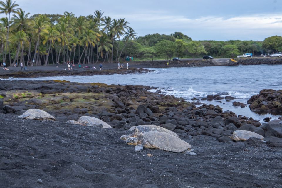 Big Island: Private Island Circle Tour With Lunch and Dinner - Waimea Exploration