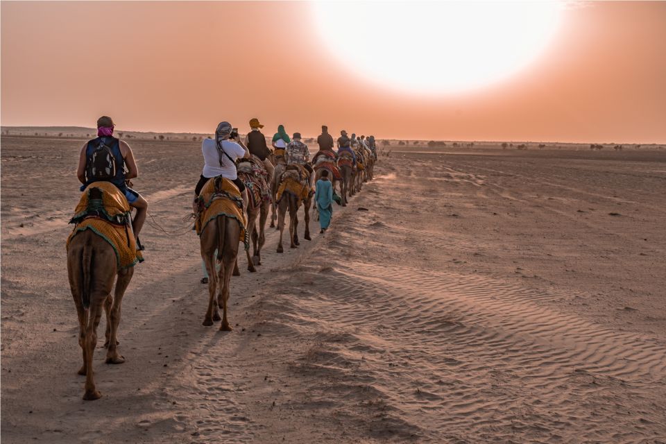 Billion of Stars Experience With Non Touristic Camel Safari - Directions