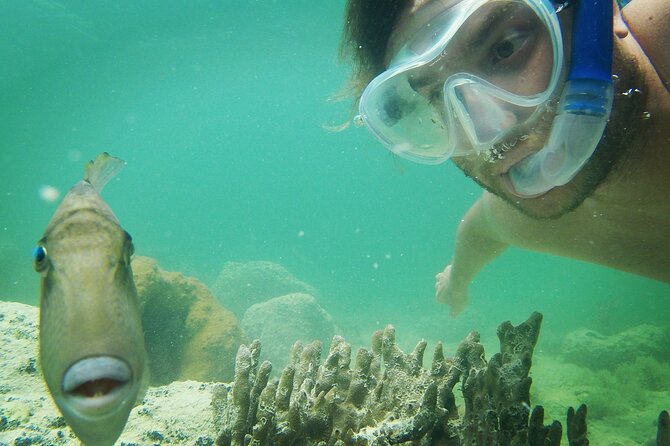 Biologist-Guided Adventure: Dolphin Watching and Key West Reefs - Common questions