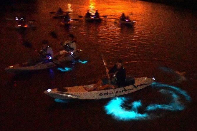 Bioluminescent Kayak Tour. Fin Expeditions Is Cocoa Beaches Top Rated Kayak Tour - Last Words
