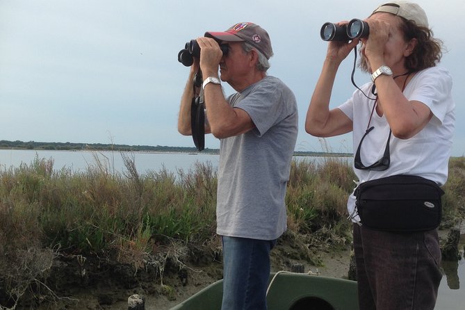Birdwatching by Boat in a Small Group in the Pialassa Baiona - Itinerary Highlights