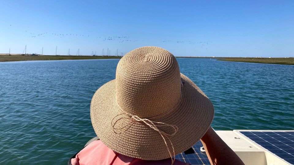 Birdwatching in Ria Formosa: Eco Boat Tour From Faro - Customer Reviews