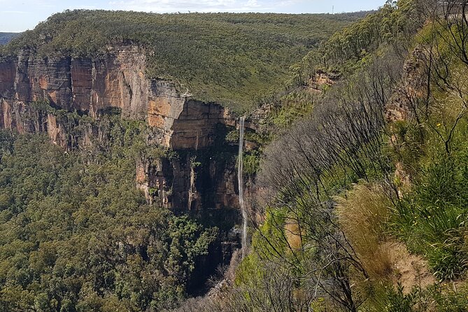 Blue Mountains 1-Hour Trike Tour of Three Sisters - Key Features of the Trike Tour