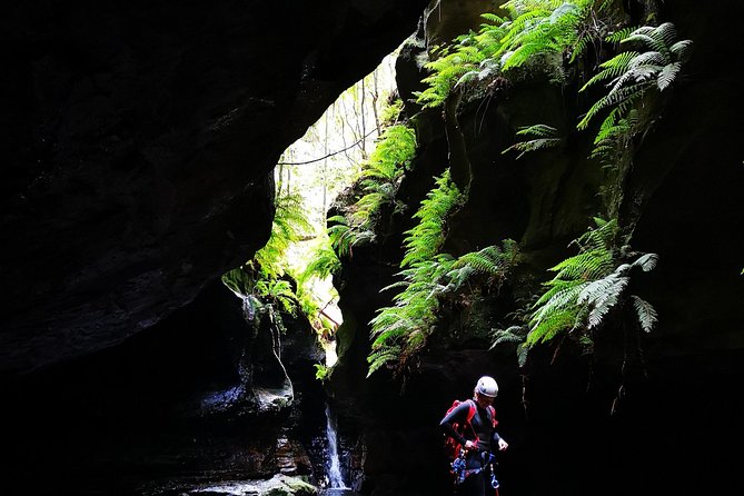 Blue Mountains and Empress Canyon Abseiling Adventure Tour (Mar ) - Cancellation Policy