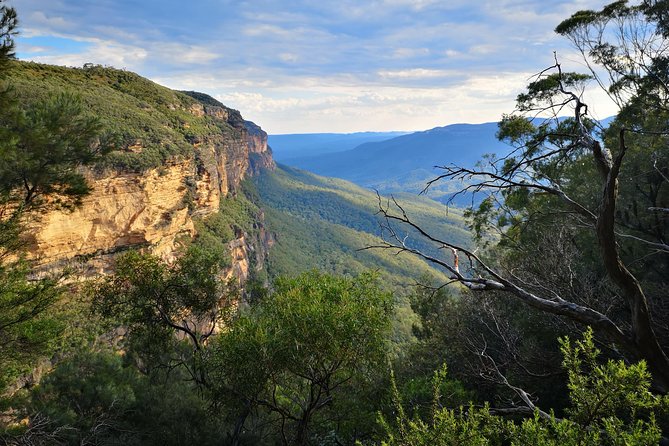 Blue Mountains Sunset Tour With Wildlife From Sydney - Logistics and Communication