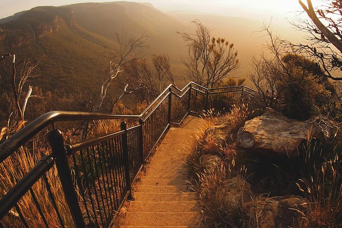 Blue Mountains Vintage Cadillac Tour With Local Guide - Pricing and Additional Information