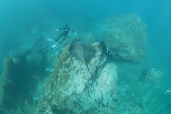 Boat Excursion to Visit Underwater Lava Tongues - Equipment Requirements