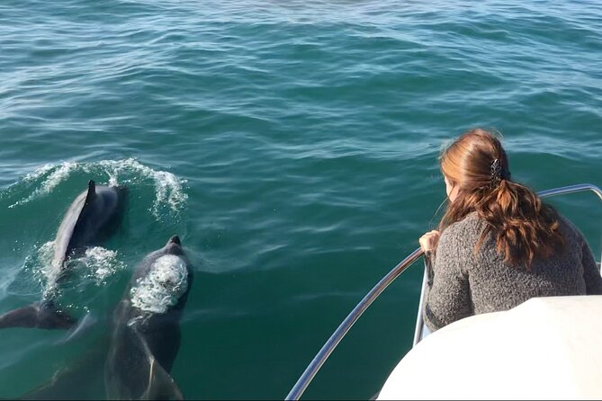 Boat Tour in the Marina Park - Common questions