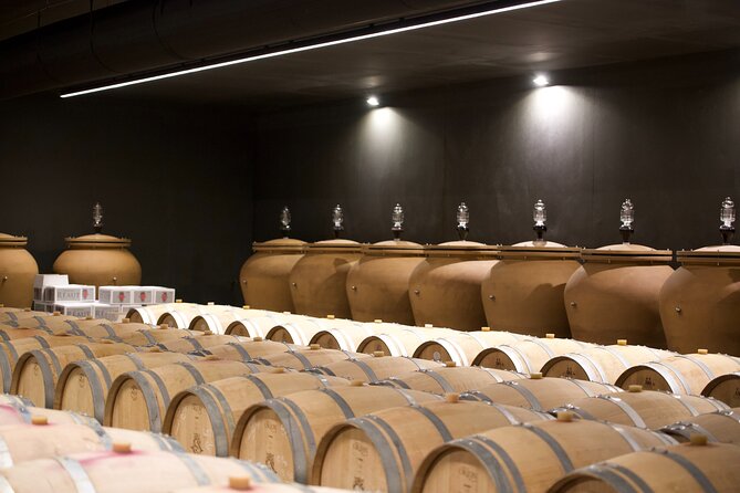 Bordeaux : Full Day Wine Tastings & Gourmet Lunch - Assistance Options