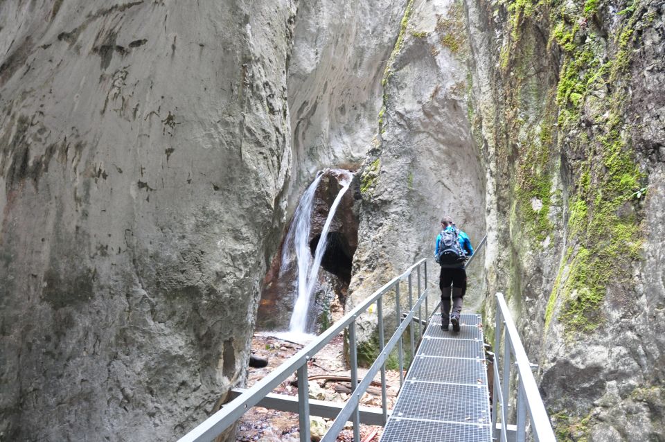 Brasov: Small-Group 7 Ladders Canyon Day Trip - Participant Selection and Reviews