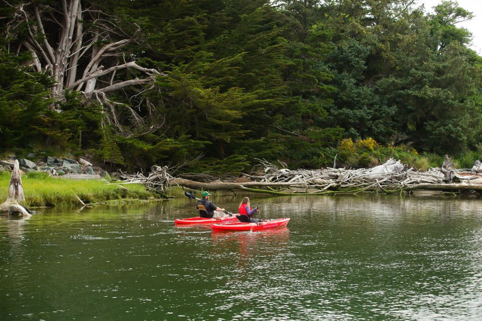 Brookings: Chetco River Kayak Tour - Tour Guide and Language Support
