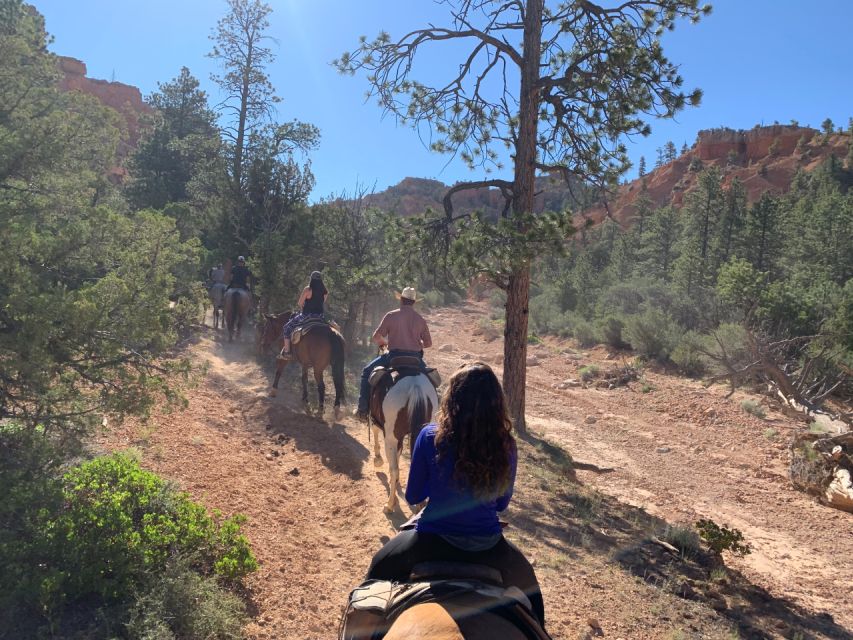 Bryce Canyon City: Red Canyon Horse Riding Day Trip W/ Lunch - Guided Tour Features