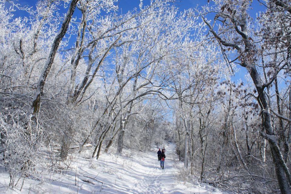 Budapest: Hiking Tour in the Buda Hills - Guide and Reviews