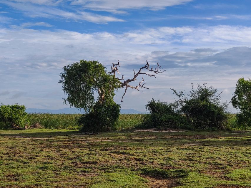 Bundala National Park: 3-Hour Morning or Evening Safari - Group Size Limit