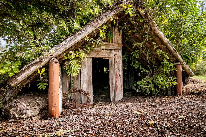 Buried Village of Te Wairoa - Visitor Information and Tips