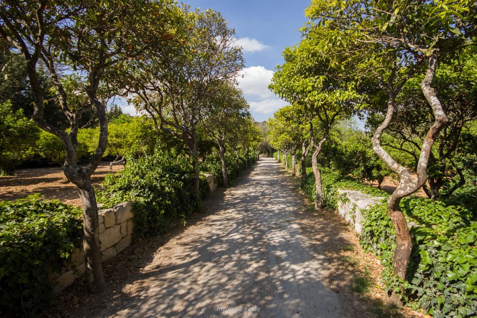 Buskett Woodlands and Dingli Cliffs Private Nature Tour - Logistics and Booking