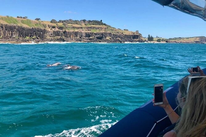 Byron Bay Dolphin Tour - Ocean Safari - Tour Directions