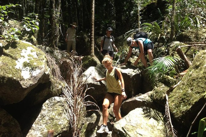 Byron Bay Hinterland Tour Including Rainforest Walk to Minyon Falls - Additional Information