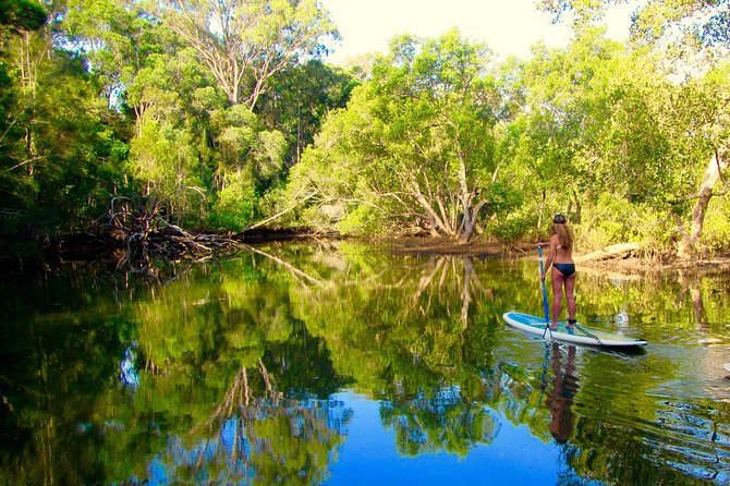 Byron Stand Up Paddle Nature Tour - Last Words