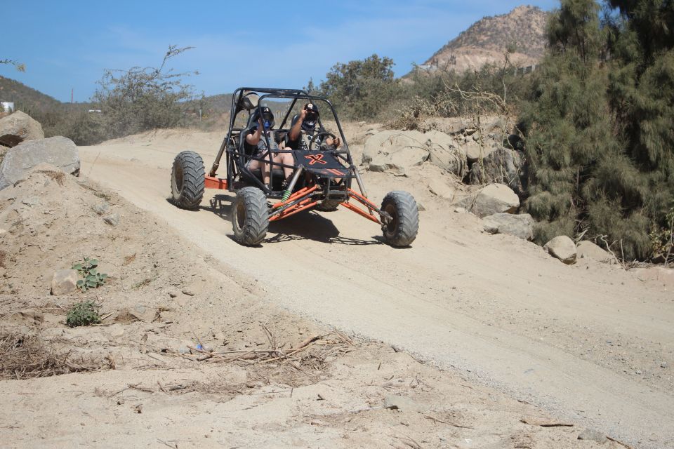 Cabo San Lucas: Off-Roading Buggy Adventure to Migriño - Customer Reviews and Testimonials
