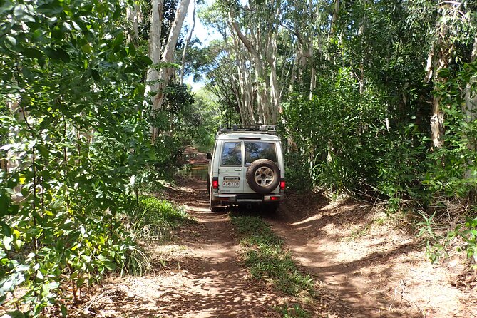 Cairns 4WD Rainforest Waterfall Tour Including a GBR Island Tour - Additional Activities