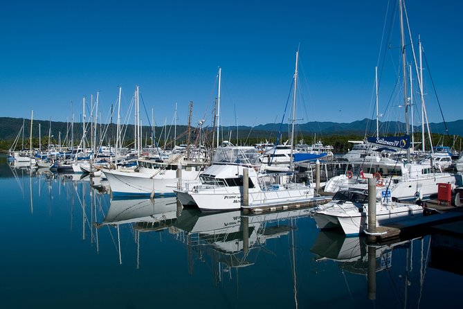 Cairns Reef/Rainforest : Daintree Rainforest & Great Barrier Reef - Additional Resources