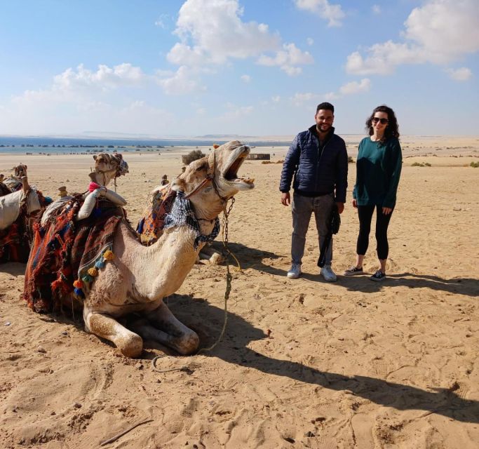 Cairo: Wadi El Ryan, El Fayoum Oasis & Bird Watching Tour - Directions to Meeting Point