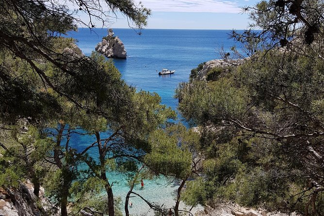 Calanques National Park Guided Hiking Tour - Customer Reviews and Ratings