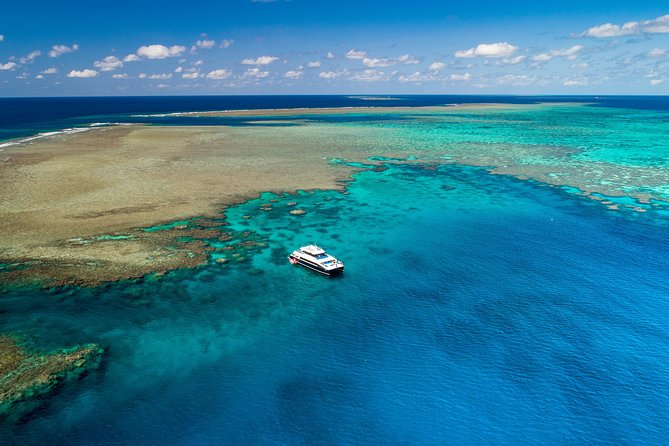 Calypso Outer Great Barrier Reef Cruise From Port Douglas - Benefits, Customer Reviews, and Highlights