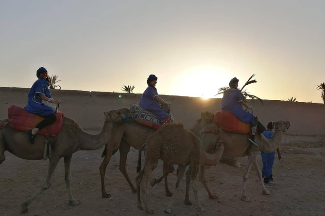 Camel Ride at the Palm Groves in Marrakech - Logistics and Meeting Details