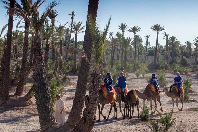 Camel Ride in the Palmeraie of Marrakech - Common questions