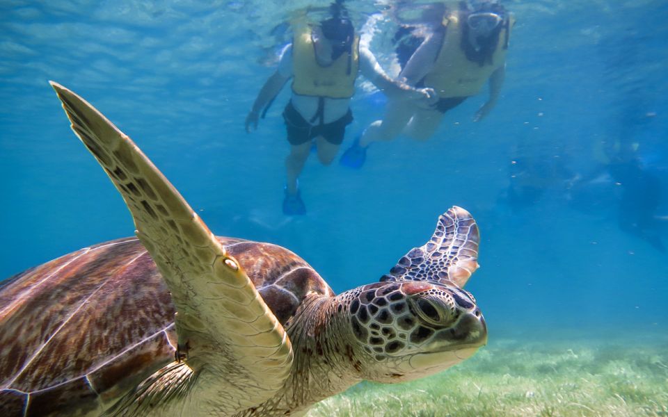 Cancun: Akumal Turtles and Cenote Snorkeling Tour - Live Tour Guides