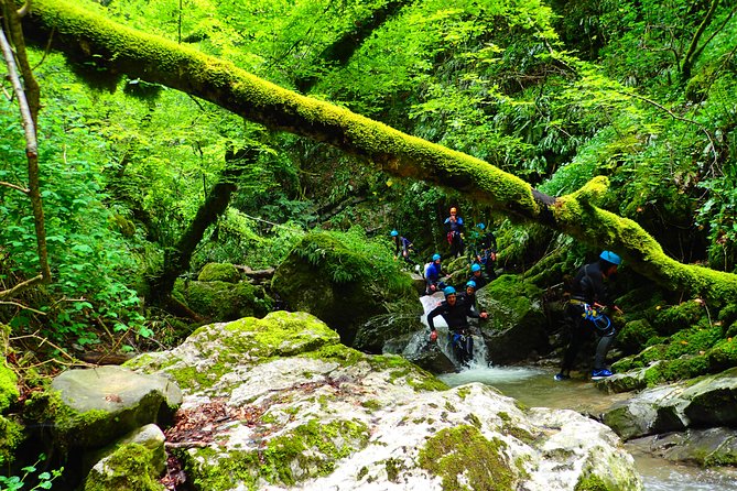 Canyoning Sensation of Angon on the Shores of Lake Annecy - Additional Information