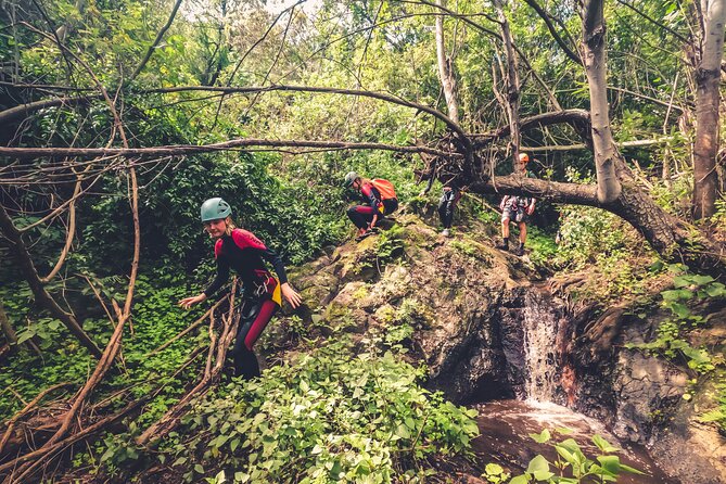 Canyoning With Waterfalls in the Rainforest - Small Groups ツ - Pricing and Booking Information