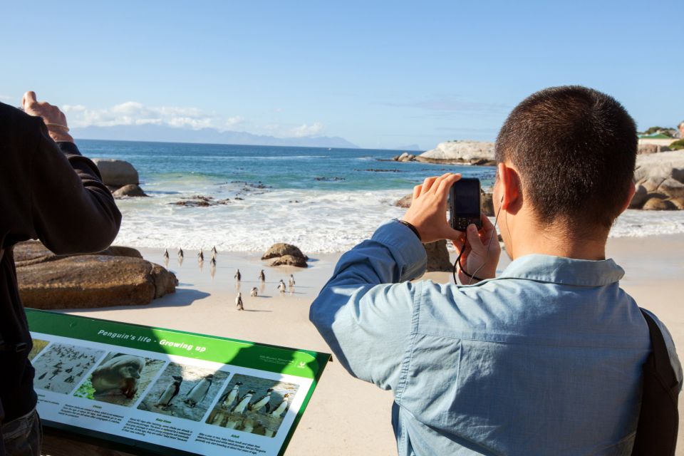 Cape Peninsula and Penguin Colony Full Day Shared Tour - Additional Details