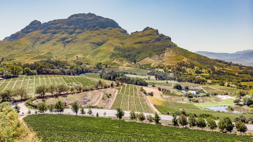 Cape Town: 3 Regions Private Cape Winelands Tour - Last Words