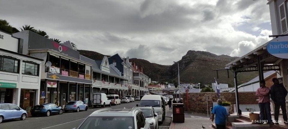 Cape Town: Cape of Good Hope, Seals and Penguins Day Tour - Highlights