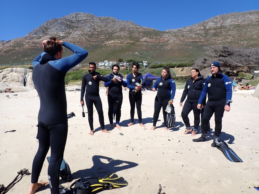 Cape Town: Great African Sea Forest Guided Snorkel - Location Details