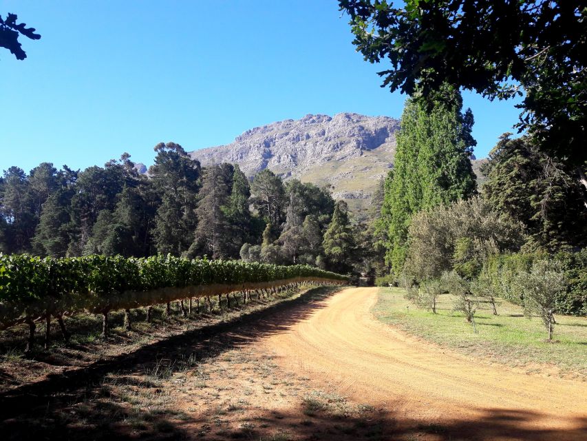 Cape Town: Private Cape Winelands Stellenbosch Morning Tour - Return Arrangements Information