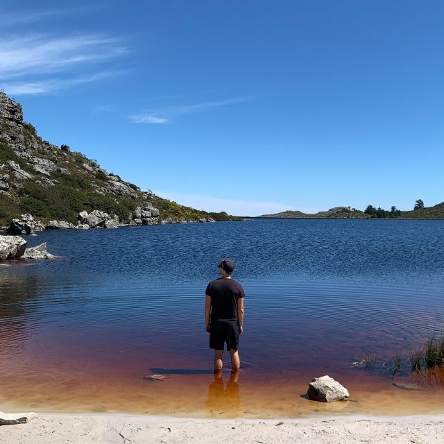 Cape Town: Skeleton Gorge and Kirstenbosch Gardens Hike - Meeting Point