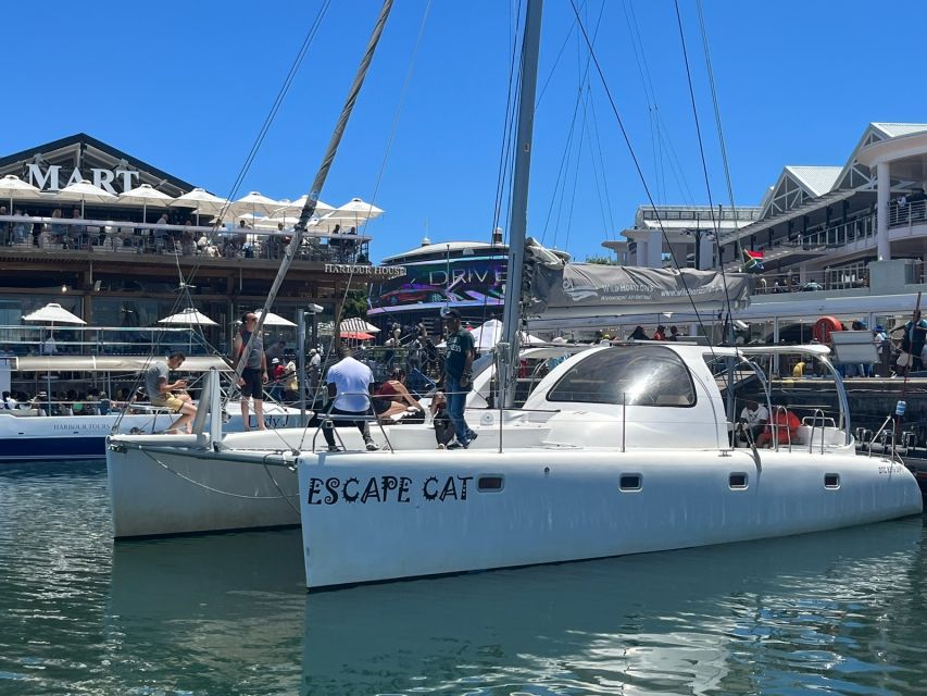 Cape Town: Sunset Cruise by Catamaran to Table Bay - Customer Reviews