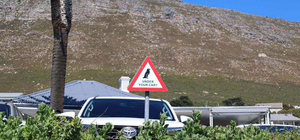 Cape Town: Tour Cape Point & Boulders Beach Penguin Day Trip - Booking Details