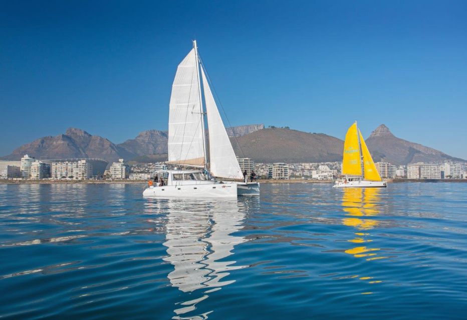 Cape Town: V&A Waterfront Champagne Cruise - Location and Details