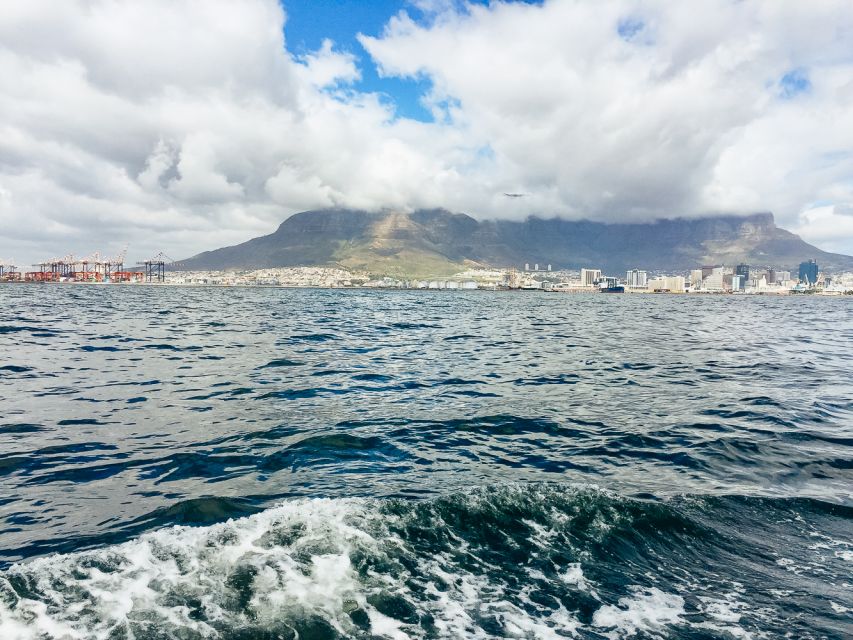 Cape Town: Waterfront and Sunset Champagne Cruise - Last Words