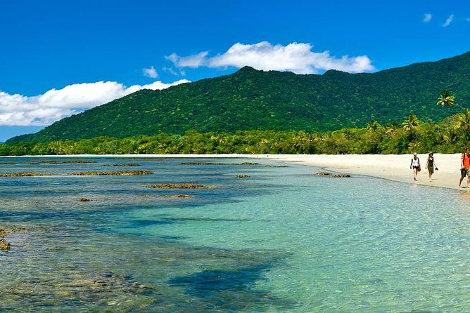 Cape Tribulation, Mossman Gorge and Daintree Rainforest Day Tour - Wildlife Viewing Opportunities
