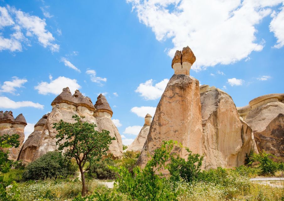 Cappadocia: Highlights of Cappadocia With Japanese Guide - Workshop Visits and Shopping Opportunities