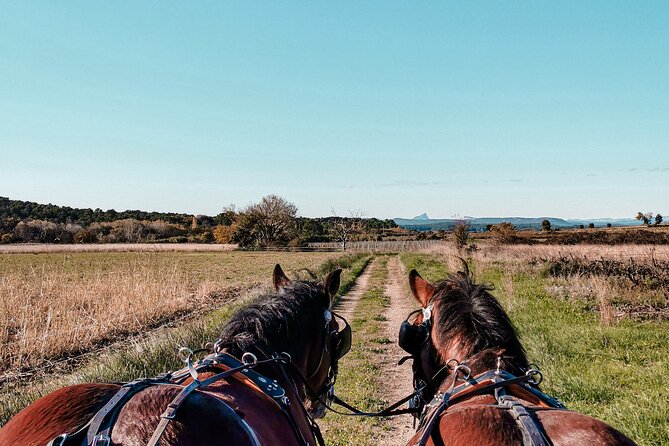 Carriage Rides, Pays De Sommières - Customer Support Information