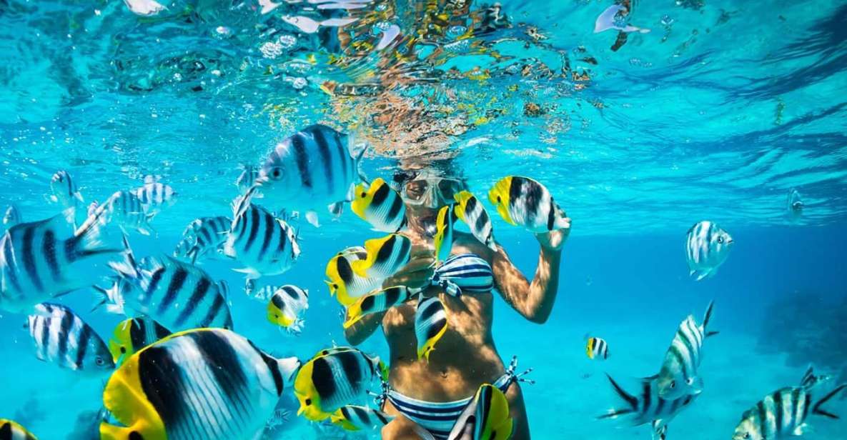 Catalina Island Full-Day Snorkeling Lunch From Punta Cana - Exclusions and Additional Costs