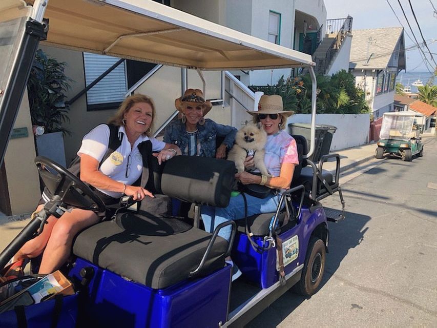 Catalina Island: Private Guided Golf Cart Tour of Avalon - Review Summary - Customer Experiences