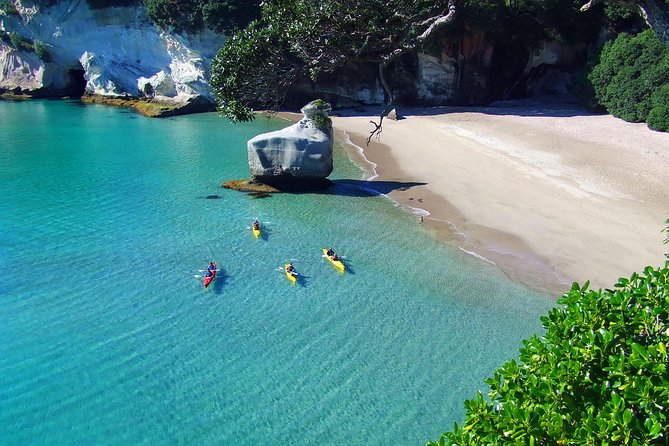 Cathedral Cove Kayak Tour - Common questions